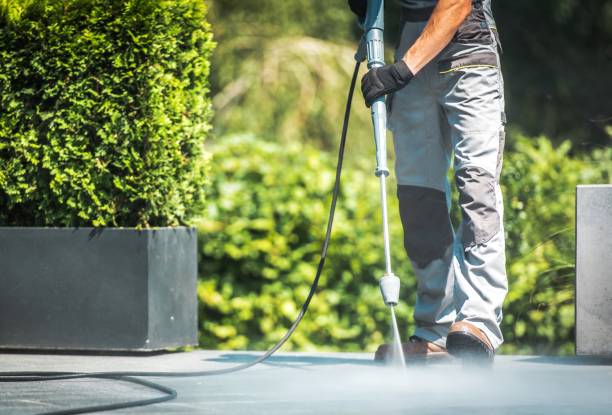 Best Graffiti Removal  in Long Creek, IL