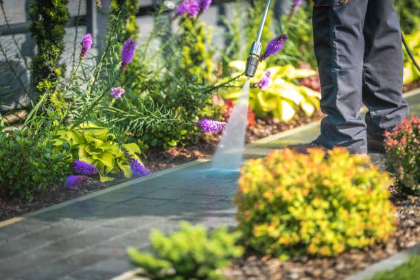 Best Animal Enclosure Cleaning  in Long Creek, IL