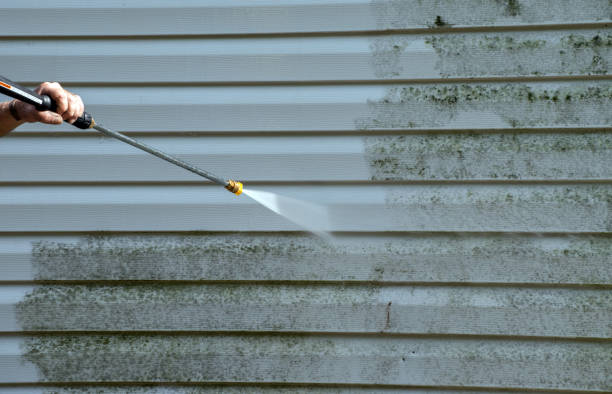 Best Warehouse Cleaning  in Long Creek, IL